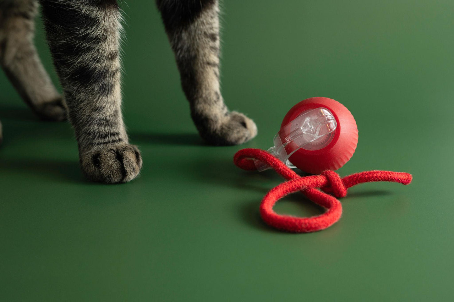 Pelota interactiva para mascotas