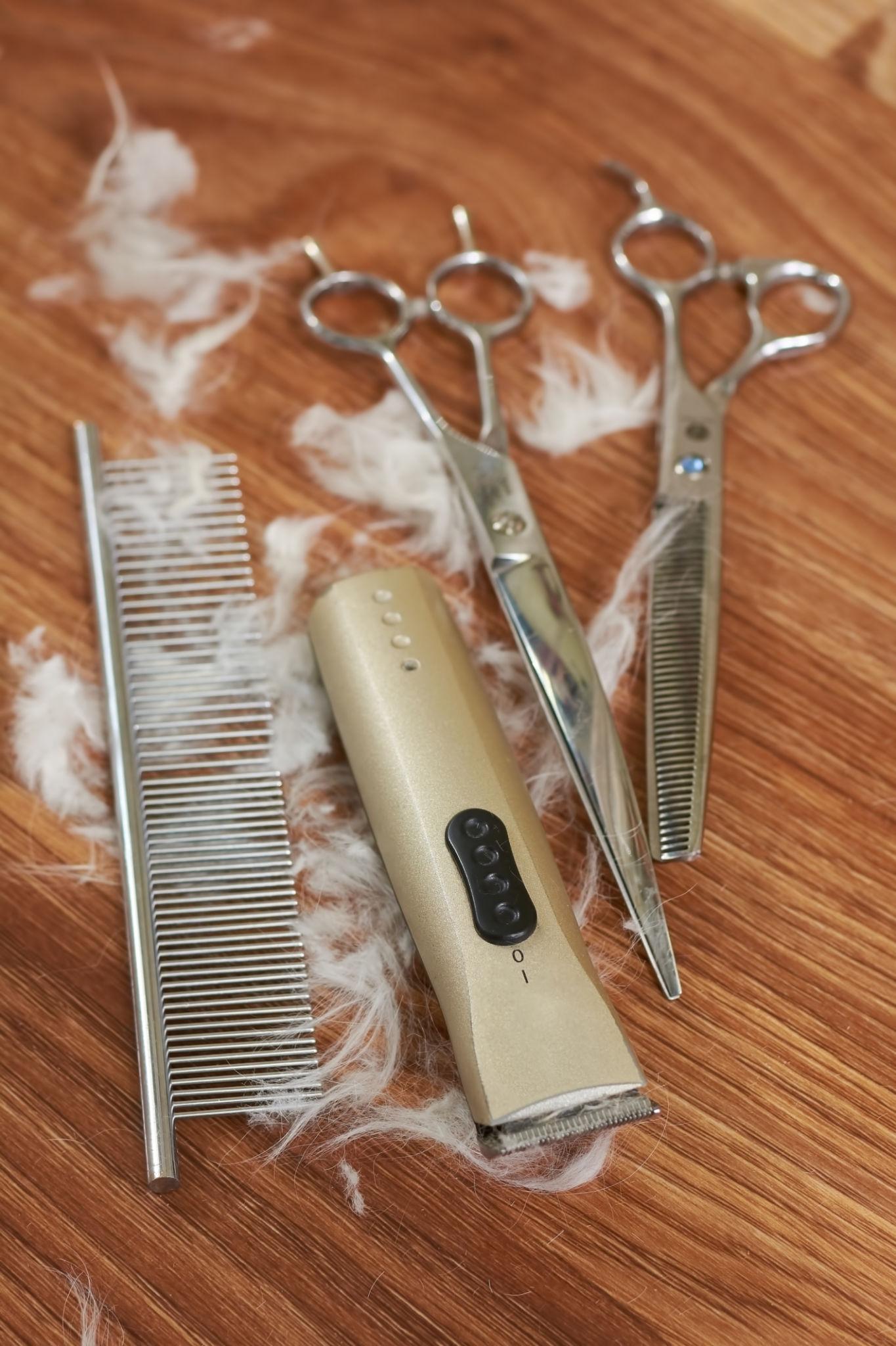 Kit Peluquería Profesional Para Mascotas
