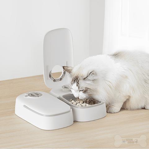 Dispensador Automático de Comida Mascota